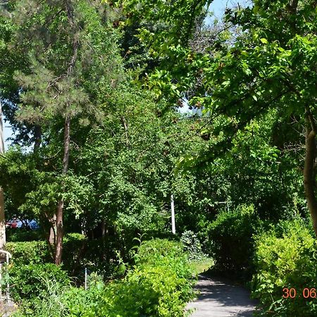 شقة أبارتامنت أنتونيا سات فاكانتا كونستانتا المظهر الخارجي الصورة